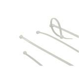 Intronics CT1030 150mm Intronics CT1030 150mm